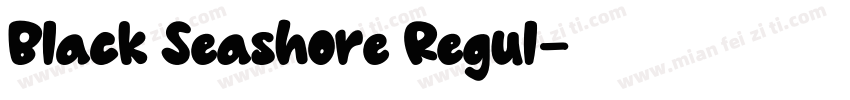 Black Seashore Regul字体转换